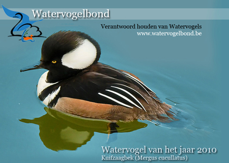 Watervogelbond muismat