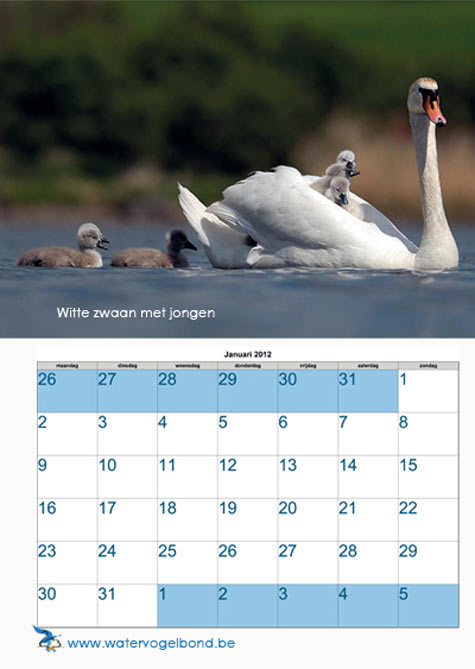 kalender